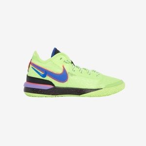 Nike Zoom Lebron NXXT Gen
